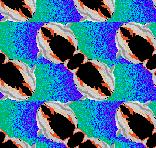 MixedPixels\Anim: th_FlyingDolphins1s