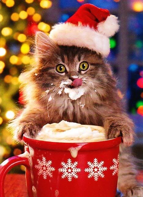 ImgX%2FPet%2FChristmas%2FChristmas Cat drinking cream from cup
