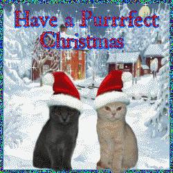ImgX%2FPet%2FChristmas%2FTwo cats   Have a purrfect Christmas animation