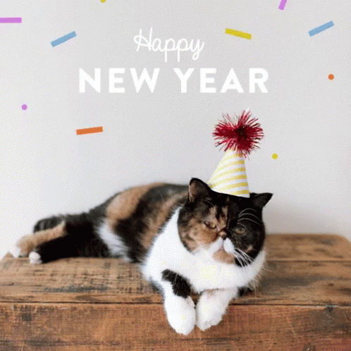 ImgX%2FPet%2FNewYear%2FGrumpy Cat with hat animation   Happy New Year