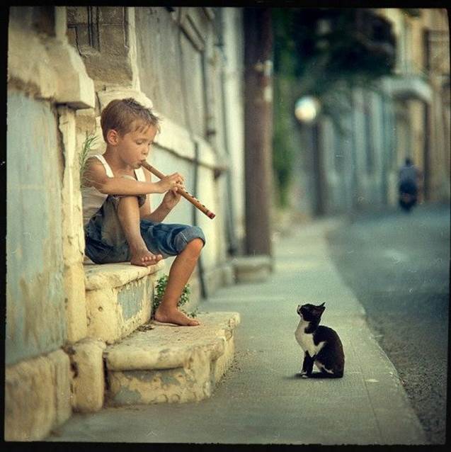 Cat listening to boy playing flute