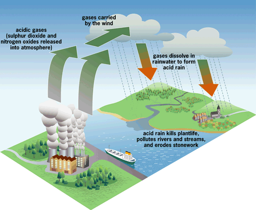 Environment Global warming acidrain