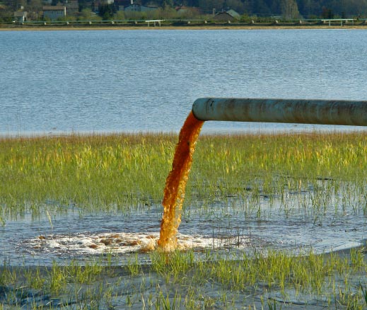 Water pollution in lake