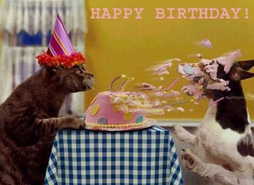 Cat blows birthday cake in face of dog