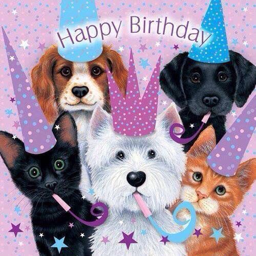 Cats and Dogs   Happy Birthday text