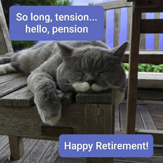 Happy Retirement Cat