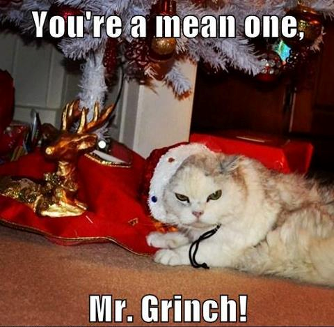 Cat Christmas You are a mean one Mr Grinch