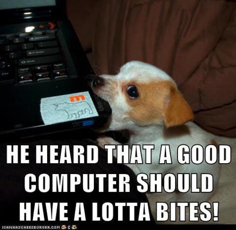 Puppy dog bytes PC