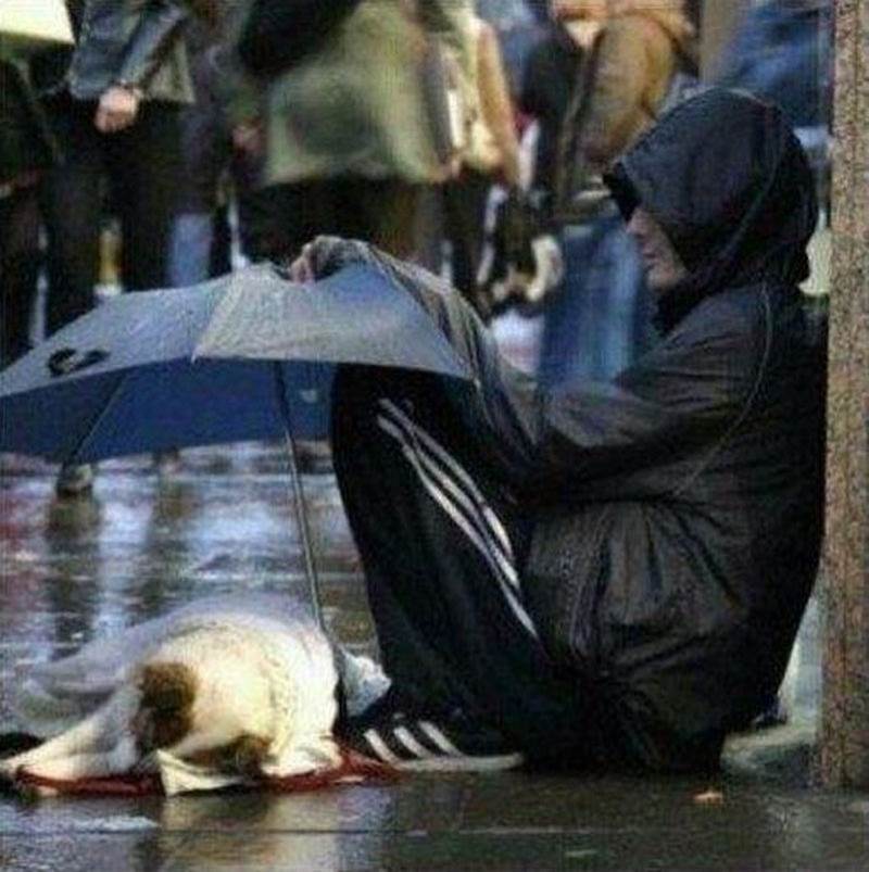 Man keeps his dog dry with umbrella