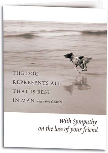 With sympathy on the lost of your dog