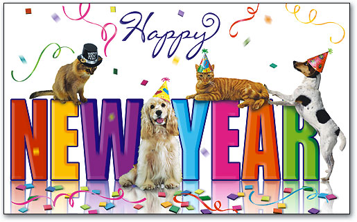 Dogs   Cats   Happy New Year