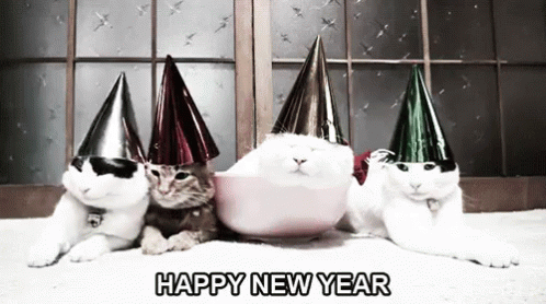 Four Cats with silver hats animation   Happy New Year