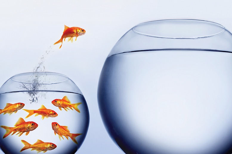 Goldfish jumping out of overpopulated fish bowl towards empty bowl