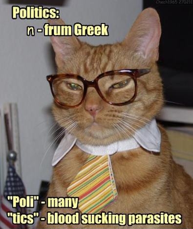 Professor Cat explaining politics