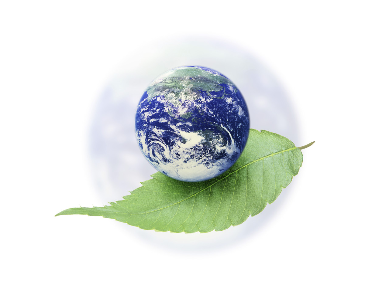 care environment globe on leaf
