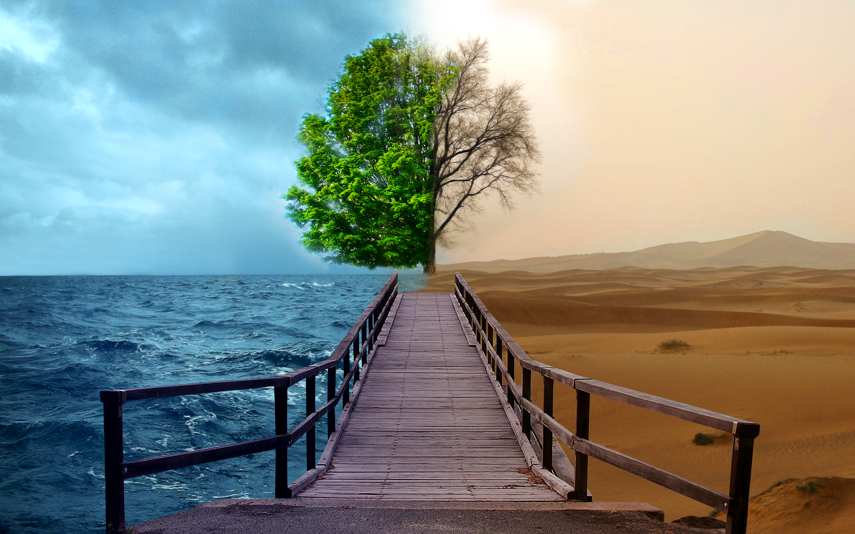 environment project 01 by moure