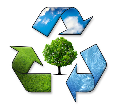 environmental cycle air water earth