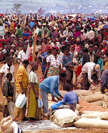 onu overpopulation1