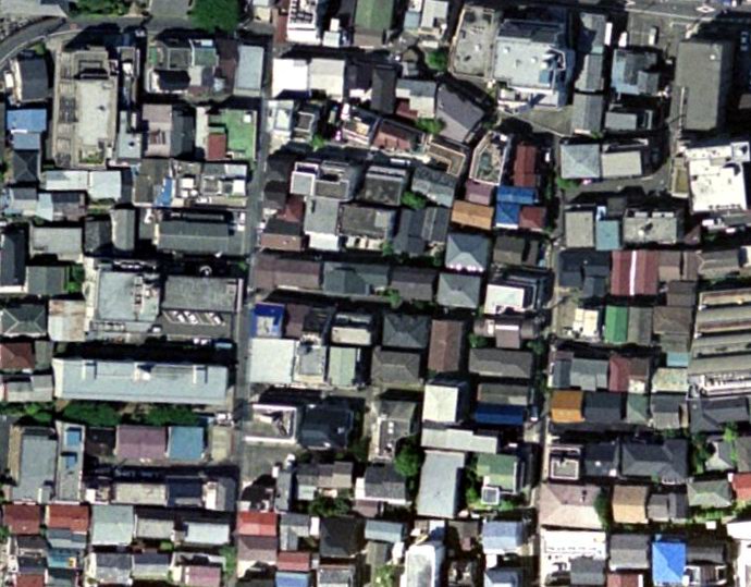 houses overpopulation 2