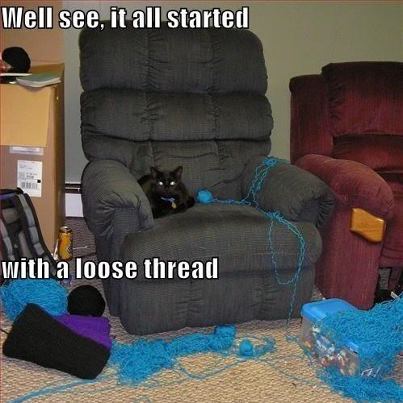 cat started with loose thread
