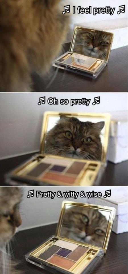 pretty cat in mirror