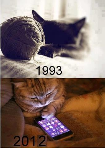 the influence of high tech on cats