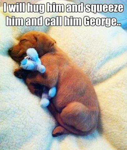 puppy dog with george
