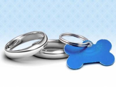 pets in wedding